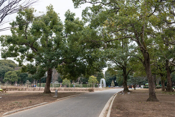 広大な緑が広がる「代々木公園」まで約600m（徒歩8分）。