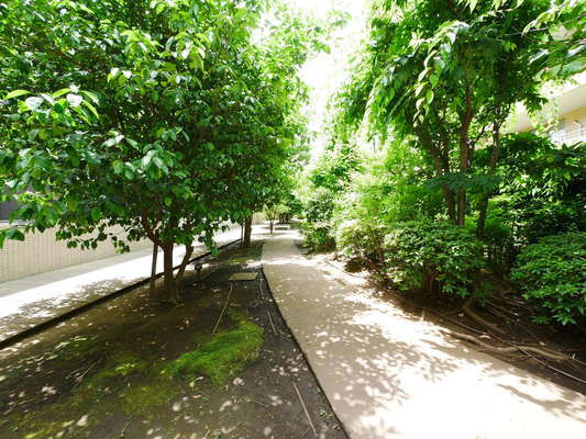 敷地内散歩道