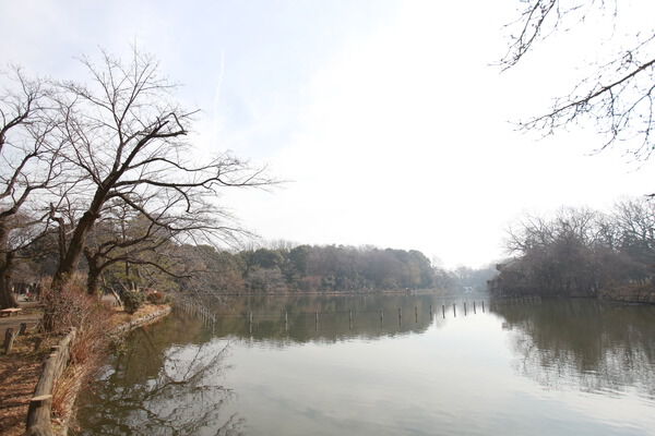 テニスクラブのある「善福寺公園」まで約2,200m（徒歩27分）。