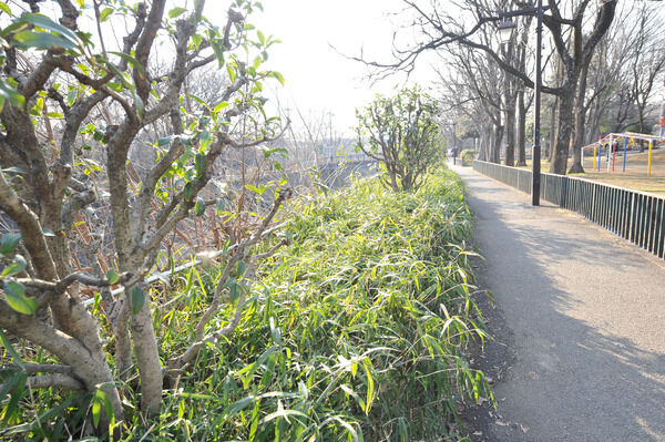 桜の名所でもある「善福寺川緑地」まで約170m（徒歩3分）。