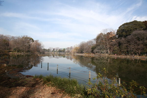 善福寺池を中心とした「善福寺公園」は約1,290m（徒歩17分）。