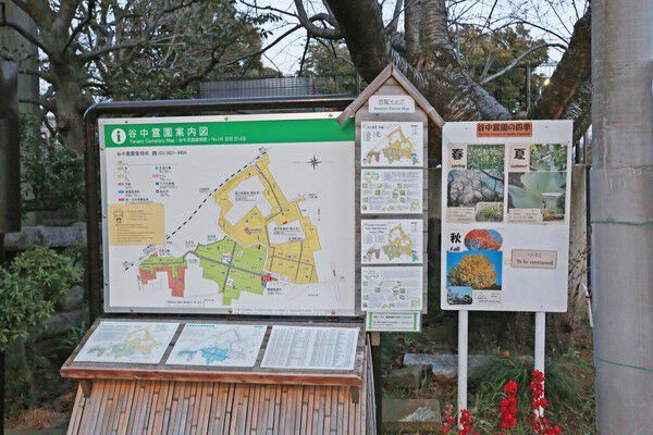 桜の名所としても親しまれている緑豊かな「谷中霊園」は約600m（徒歩8分）。