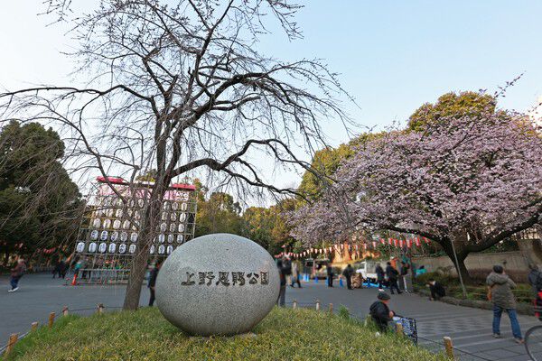 憩いの「上野公園」まで約840m（徒歩11分）。	