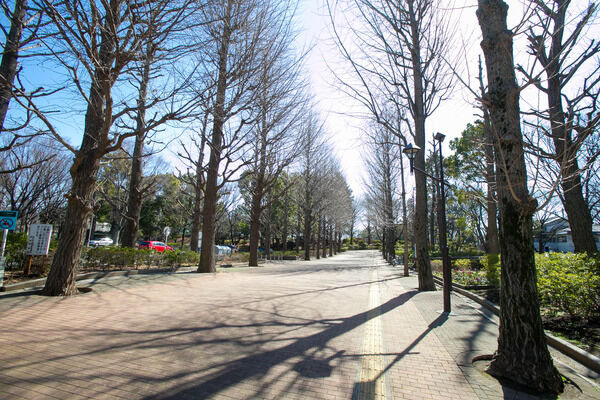 緑あふれる「城北中央公園」へは約290m（徒歩4分）。