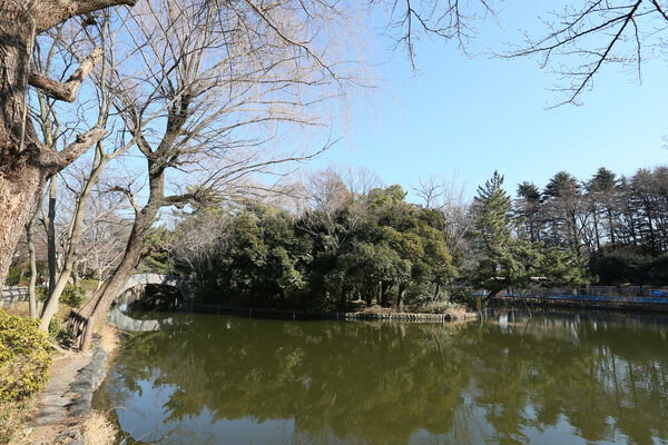 様々な樹木と野鳥が織り成す「石神井公園」約400m（徒歩5分）の風景。