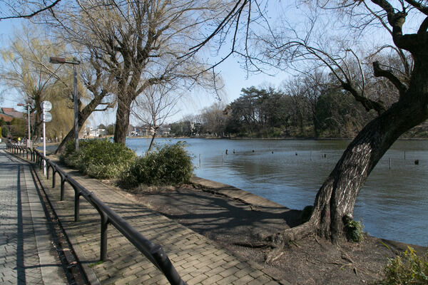 憩いの場「石神井公園」までは約450m（徒歩6分）。		