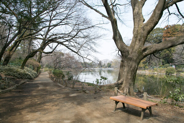 「善福寺公園」までは、約580m（徒歩8分）。		
