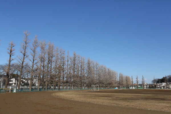 テニスコートや体育館を有する「練馬区立練馬総合運動場」約950m（徒歩12分）。