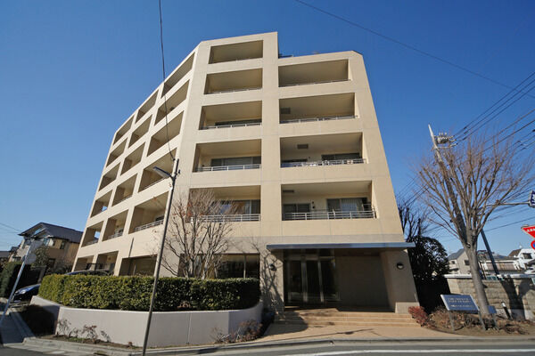 【氷川台パークホームズヒルテラス】ヤマボウシやケヤキなどの高木がシンボルツリーとして、植栽されています。