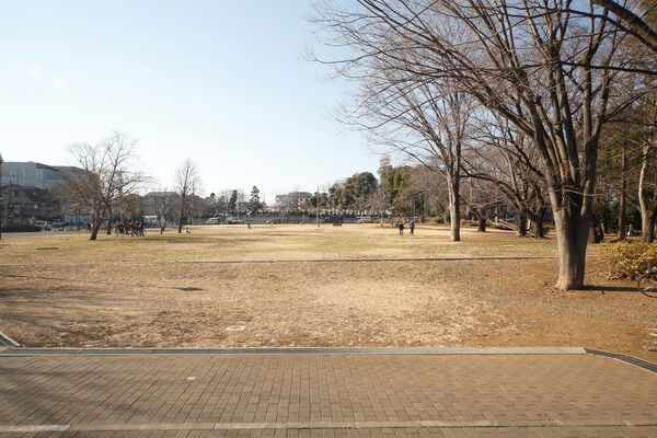 広大な自然が広がる「城北中央公園」は、約1,100m（徒歩14分）。