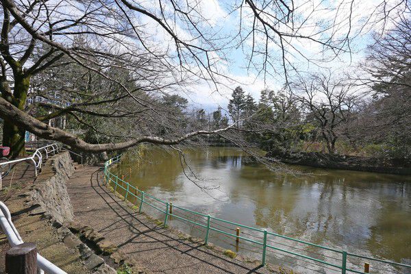 ひょうたん型の大きな池のある「武蔵関公園」へは約1,400m(徒歩18分)。 ひょうたん型の大きな池のある「武蔵関公園」へは約1,400m(徒歩18分)。