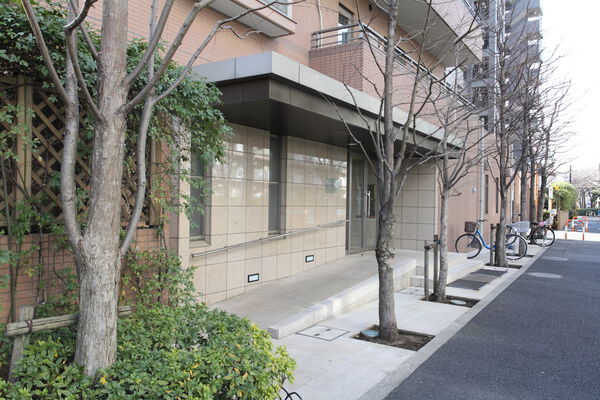 爽やかな緑がエスコートするエントランスアプローチ。		