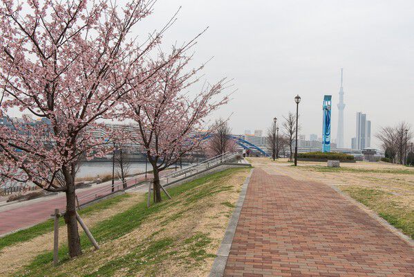 「汐入公園」まで約150m（徒歩2分）。		