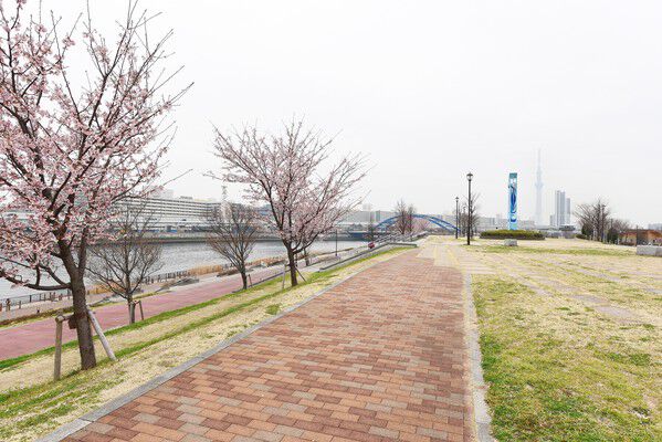 春には桜が綺麗な「汐入公園」まで約900m（徒歩12分）。