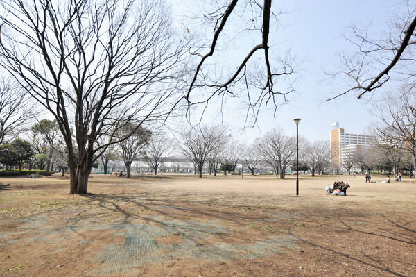 噴水、遊水地、ジョギングコースのある「新小岩公園」約700m（徒歩9分）。		