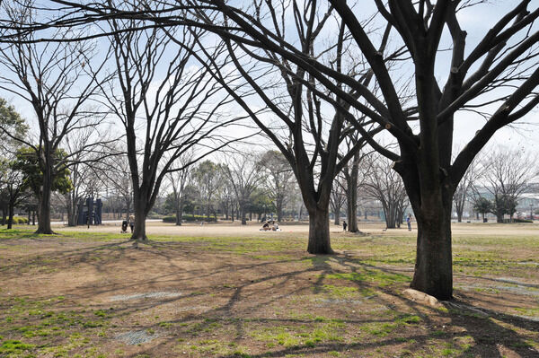 4万㎡の広さを誇る「新小岩公園」は、約400m(徒歩5分)。 4万㎡の広さを誇る「新小岩公園」は、約400m(徒歩5分)。