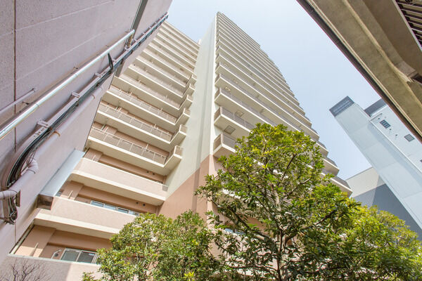 【パークタワー東京クラルテステーションフロント】土のぬくもりを連想させるような濃いブラウンの低層階。		 【パークタワー東京クラルテステーションフロント】土のぬくもりを連想させるような濃いブラウンの低層階。