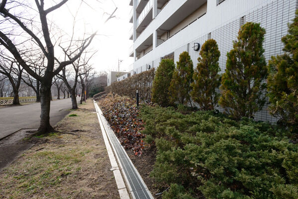 周辺はケヤキやメタセコイヤ、コブシなどが植栽され美しいグリーンビューを形成。