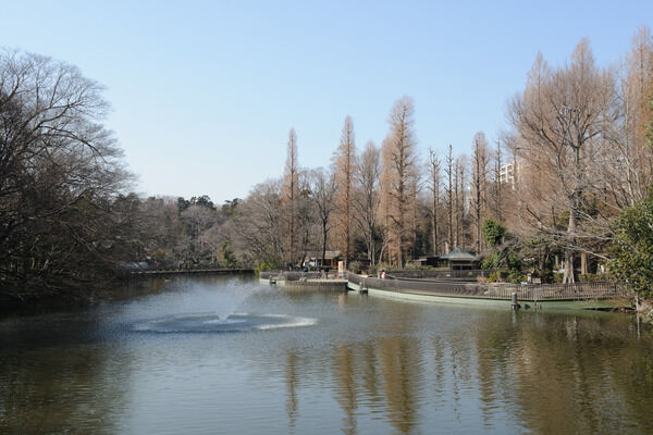 「井の頭公園」までは、約1,340m（徒歩17分)。