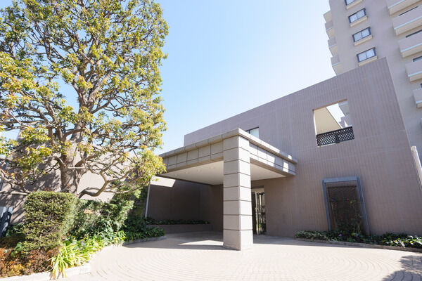 エントランス。シンボルツリーのクスの木が存在感を放ちます。		