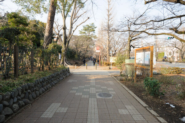 駅を超えるとアカデミックな空間の「大学通り」へ出ます。 駅を超えるとアカデミックな空間の「大学通り」へ出ます。