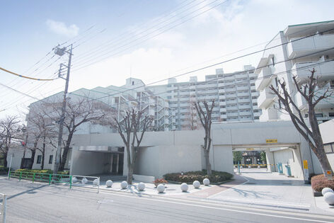 四季折々の表情を魅せる植栽が、日々の暮らしに安らぎを与えます。		