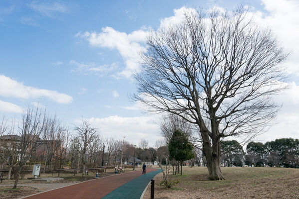 憩いの場所「西原自然公園」までは約1,860m（徒歩24分）。