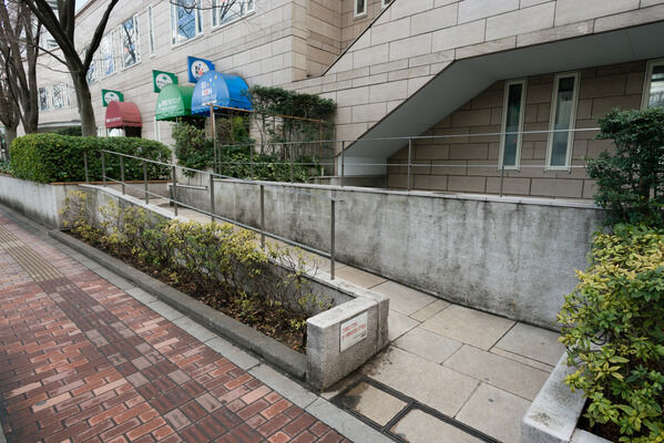 アプローチのちょっとした植込みにも木々が植えられています。 アプローチのちょっとした植込みにも木々が植えられています。