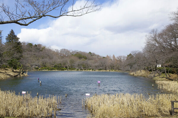 プールやテニスコート、野球場のある「ミツ池公園」は、約2,500m。 プールやテニスコート、野球場のある「ミツ池公園」は、約2,500m。