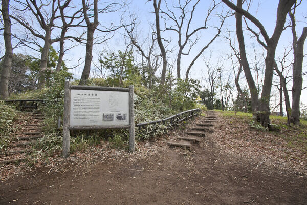 「綱島市民の森」までは、約1,320m（徒歩17分）。