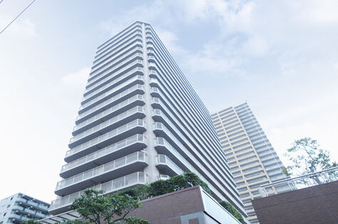 日の光と、風を取り込む明るい暮らしが待っています。