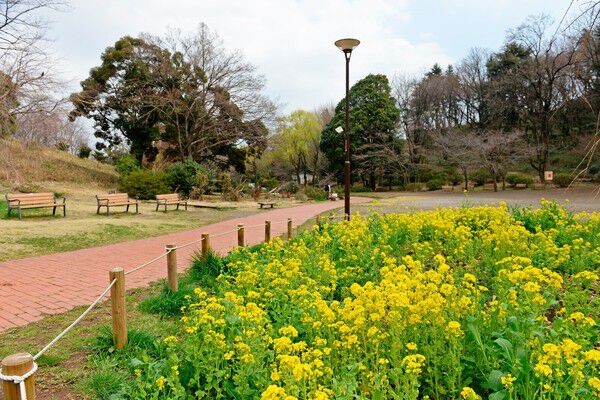 お花畑に遊歩道。桜の名所とも知られる「三ツ池公園」。