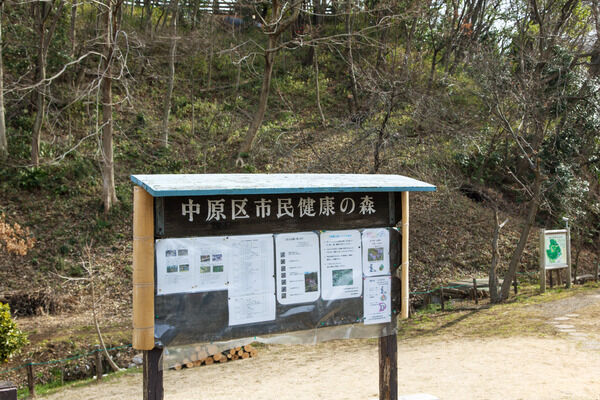 蛍を市民が育てたり、市民と行政が水と緑の育成を目指す「中原区市民健康の森」。