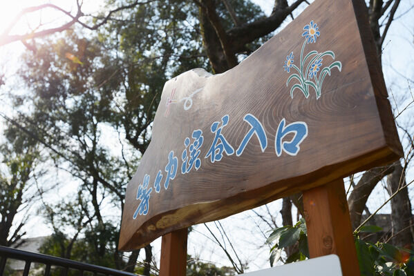 流れに沿って遊歩道が整備された「等々力渓谷」は、約3,450m。