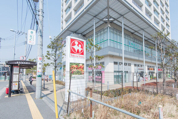 「向ヶ丘遊園東急ストア」までは、約850m（徒歩11分）です。