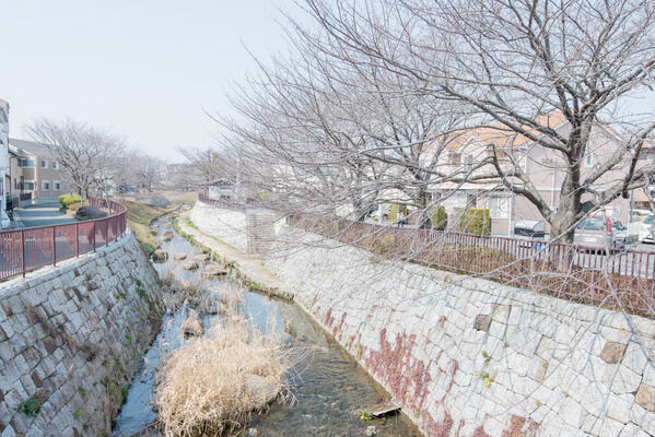 桜並木が美しい「五反田川」まで、約140m（徒歩2分）。