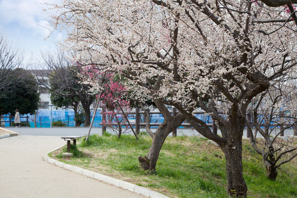 「有馬梅林公園」は、約650m（徒歩9分）。