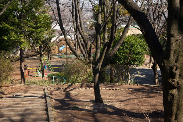 緑豊かな「小台公園」までは約70m(徒歩1分)。 緑豊かな「小台公園」までは約70m(徒歩1分)。
