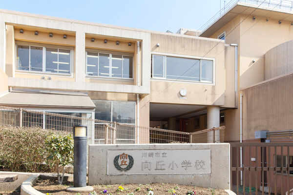 「川崎市立向丘小学校」までは約250m（徒歩4分）。