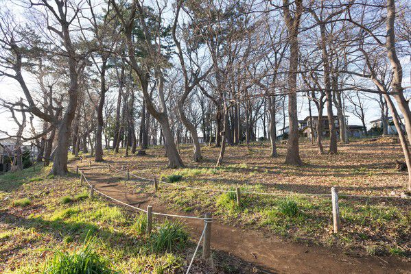 「金森山市民の森」約1000m(徒歩13分)は住宅街の中にある憩いの地です。		 「金森山市民の森」約1000m(徒歩13分)は住宅街の中にある憩いの地です。
