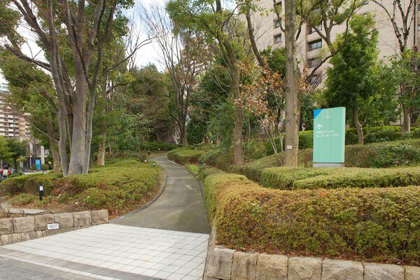 敷地内にはたくさんの緑が植えられています。