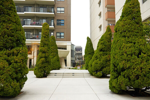 植栽に囲まれたアプローチ、アール状の庇がタワーの佇まいを際立たせます。		 植栽に囲まれたアプローチ、アール状の庇がタワーの佇まいを際立たせます。