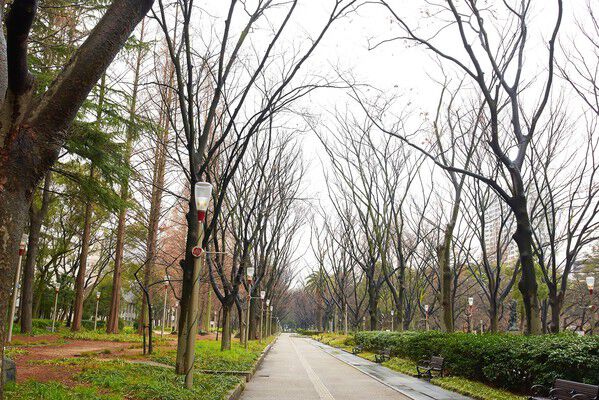 桜やバラの名所として知られる「靱公園」は、約700m(徒歩9分)。		 桜やバラの名所として知られる「靱公園」は、約700m(徒歩9分)。