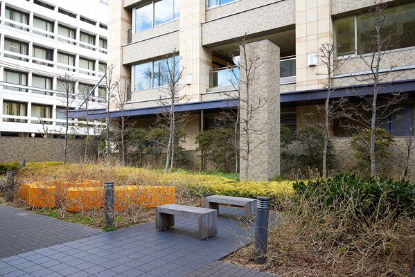 美しく緑が配され、都会でありながら四季の移ろいが感じられます。 美しく緑が配され、都会でありながら四季の移ろいが感じられます。