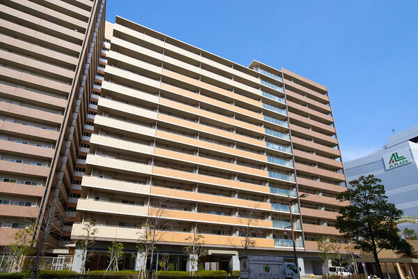 【ローレルスクエア尼崎ルネガーデンテラス】庇を支える列柱にシンボルツリーを配し、穏やかな空間を演出しています。		 【ローレルスクエア尼崎ルネガーデンテラス】庇を支える列柱にシンボルツリーを配し、穏やかな空間を演出しています。