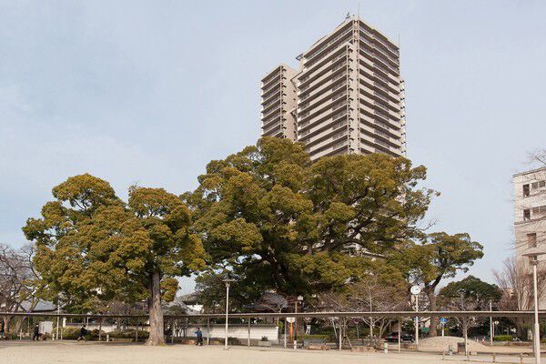 【セントラルガーデンタワー】公園やお寺が近く、緑の潤いがある住環境です。		