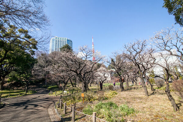 東京タワーや増上寺が建つ「芝公園」まで約1,400m(徒歩18分)。 東京タワーや増上寺が建つ「芝公園」まで約1,400m(徒歩18分)。