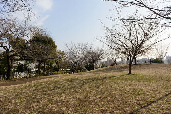 緑豊かな丘のある「西郷山公園」は、約650m（徒歩9分）。