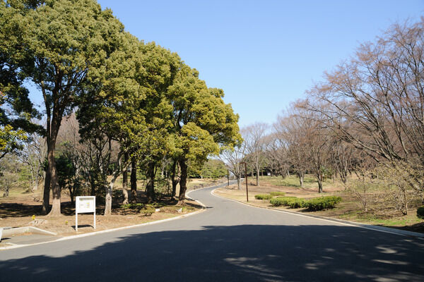 「駒場公園」まで約330m（徒歩5分）。