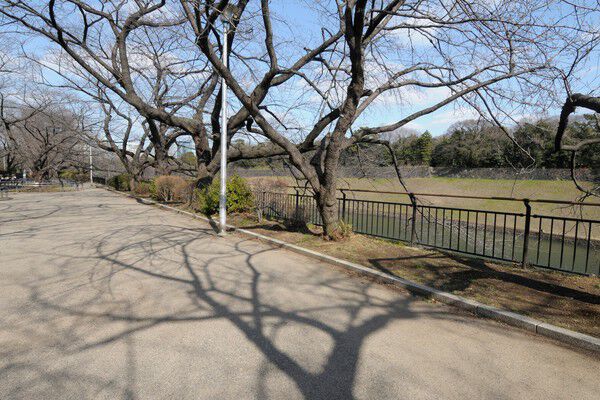 自然に親しめる桜の名所。「千鳥ヶ淵公園」へは約1,300m(徒歩17分)。	 自然に親しめる桜の名所。「千鳥ヶ淵公園」へは約1,300m(徒歩17分)。